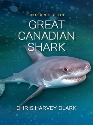 cover image of In Search of the Great Canadian Shark